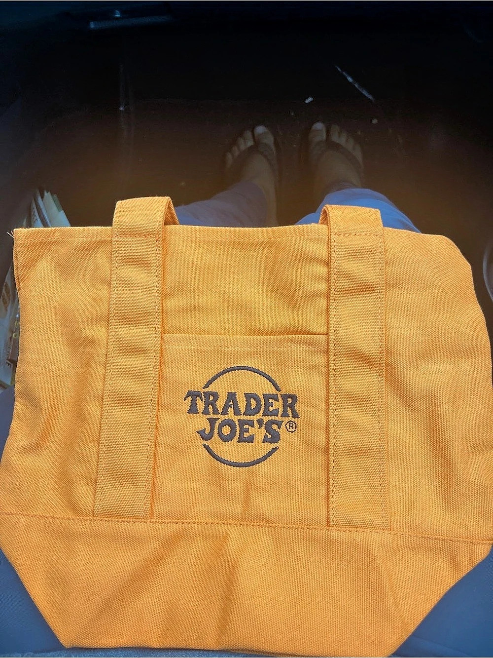 Trader Joe's Halloween Mini Canvas Tote Bags